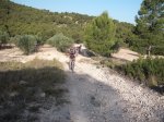 DSCF0401 (Copiar).JPG