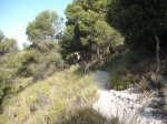 DSCF0441 (Copiar).JPG