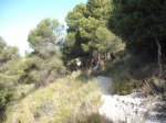 DSCF0448 (Copiar).JPG