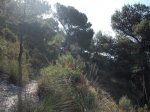 DSCF0444 (Copiar).JPG