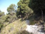 DSCF0446 (Copiar).JPG