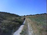 DSC00888.jpg