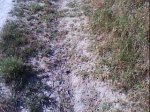 DSC00889.jpg