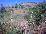 10072011_022.jpg