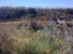 10072011_025.jpg