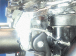 Foto3.gif