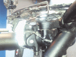 Foto4.gif