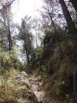 DSC00871.JPG
