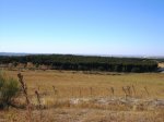 IMG_2862.JPG