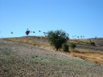 IMG_2869.JPG