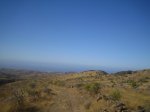 IMG_4869.JPG