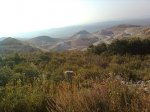 Imagen0451.jpg