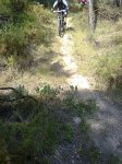 Imagen0461.jpg