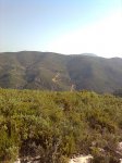 Imagen0456.jpg