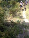 Imagen0460.jpg