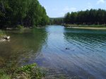 IMG_0007.JPG