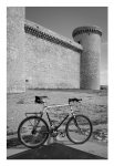 110612biciTorrelobaton.jpg