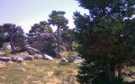 008-2.jpg