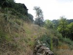 IMG_2532.JPG