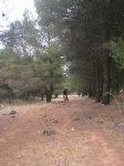 1Subida cumbres.JPG