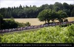 tdf11st08-green.jpg