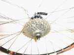 PHTO0078.JPG