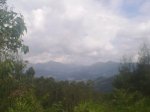 13072011899_800x600.jpg