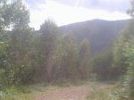 13072011900_800x600.jpg