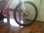 IMG00028-20110628-1150.jpg