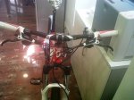 IMG00029-20110628-1150.jpg