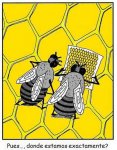 paranoias-humor-abejas.jpg