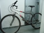DSC00950.JPG