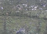 2011-07-10_11-55-58_853.jpg