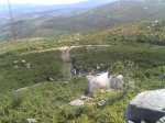 2011-07-10_11-58-51_651.jpg