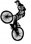 Copia de ride-or-die.png