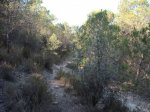 DSCF0474 (Copiar).JPG