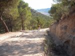 DSCF0485 (Copiar).JPG