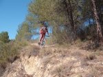 DSCF0512 (Copiar).JPG