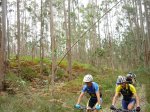 P1030561 (Copiar).JPG