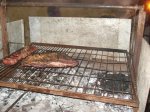DSC08509.JPG