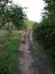 Foto0555.jpg