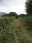 Camino.jpg