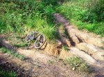 Bici camino.jpg
