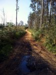 Pista.jpg