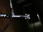 Giant 005.jpg