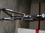 Giant 002.jpg