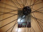 DSC04240.JPG