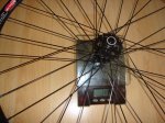 DSC04239.JPG
