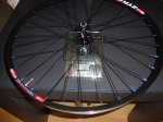 DSC04261.JPG