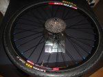 DSC04270.JPG